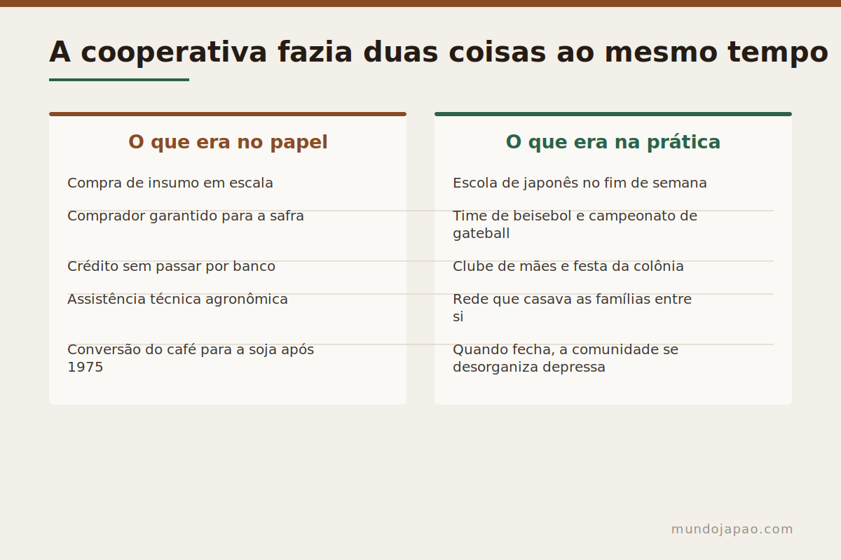 O papel da cooperativa agrícola nas colônias japonesas